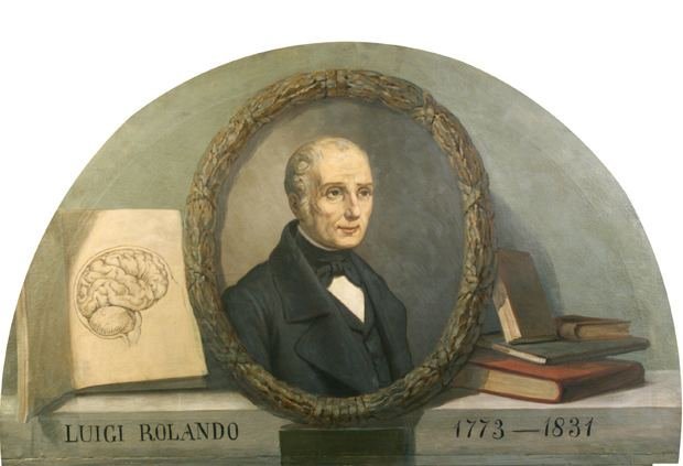 luigi rolando c4f5f92e f0ac 4d76 814d 5821fed95fe resize 750 — Луїджі Роландо — матеріалізм і експериментальна нейрофізіологія